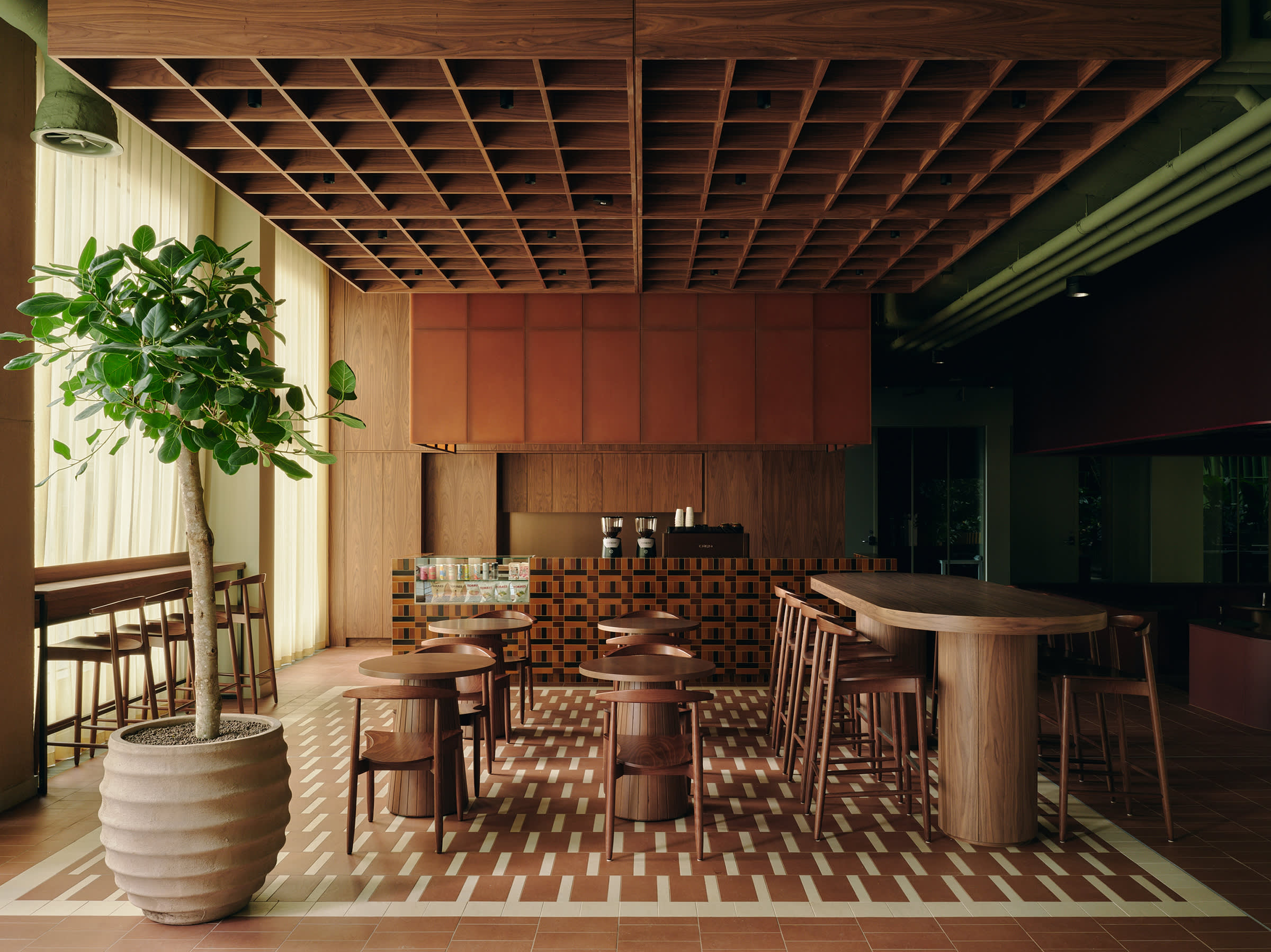 Dzek Tabitha Isobel A2 Conductor Jasper Fry 0388 web resized